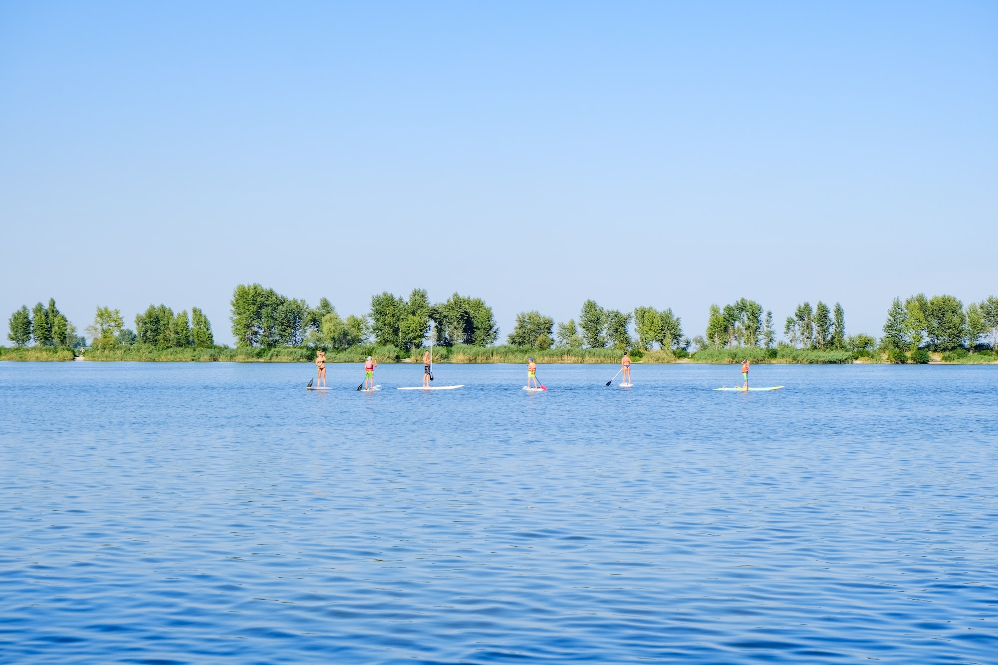 Summer water sports. Sup boarding and surfing. Outdoor activity. Competitions. Bank of the river.